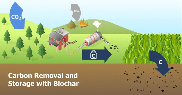 carbon removal and storage through biochar